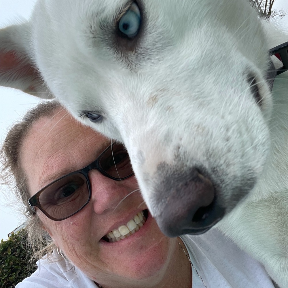 Meet your Posher, Tammy